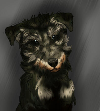 Subscriber Pet Doodles