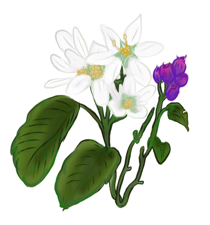 DnD Flower Icon